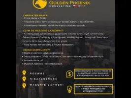 Sales Manager- Social Media
