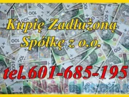 Skup Zadłużonych Spółek oraz JDG?/Ochrona Zarządu i Hipoteki, także przymusowej
