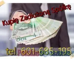 Skup Zadłużonych Spółek/Nieruchomości/Ochrona Zarządu z 299/586 K.s.h. Skuteczne Zgodne z Praw