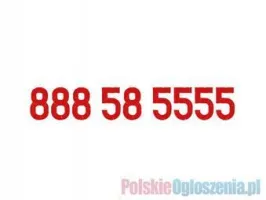 888 58 5555 złoty numer Heyah