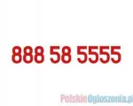 888 58 5555 złoty numer Heyah