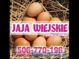 Jaja wiejskie JAJKA z wolnego wybiegu Brodnica Grudziądz