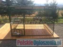 KOJEC DLA PSA Z SIATKI KOLOR ZIELONY
