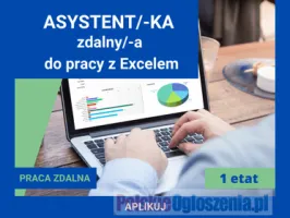 Asystent zdalny do pracy z Excelem