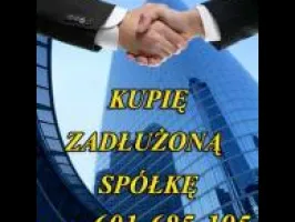 Ochroń Swój Majątek i Spółkę ZUS/ KAS/ 299 K.s.h.
