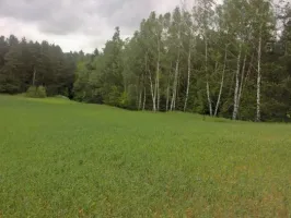 Mazury!!Stare Juchy działki 3000m2 w okolicach jeziora Garbas położone przy lesie