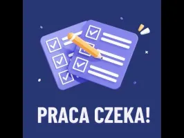 Ankieter - Praca Dodatkowa