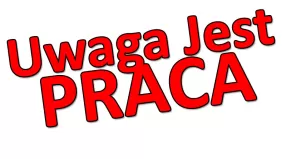 Praca na produkcji w Holandii - Pakowanie i order picking | Almere